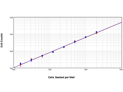 NIH3T3 세포의 Cell Counting