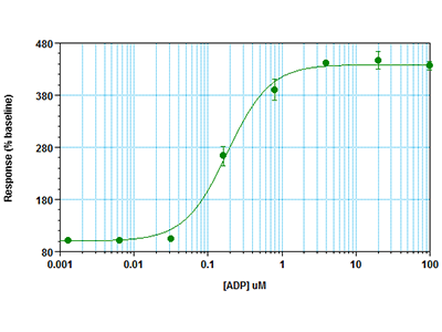 FlexStation 6 Multi-Mode Microplate Reader를 이용한 FLIPR Calcium 3 Assay