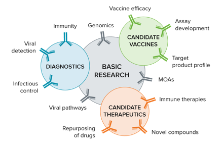 기본 연구 - 진단 - 백신 - 치료