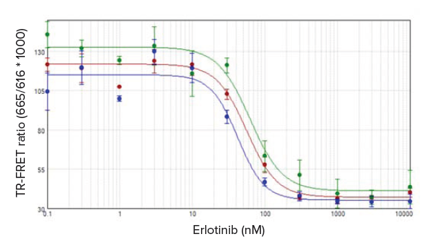 Inhibition of EGF-induced phosphorylation of ERK1/2 by Erlotinib