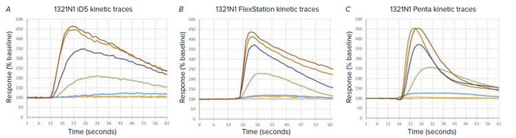 kinetic traces showing a concentration response to acetylcholine