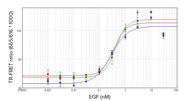 Concentration-dependent ERK1/2 phosphorylation induced by EGF