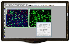 MetaMorph 현미경 자동화 및 이미지 분석 소프트웨어