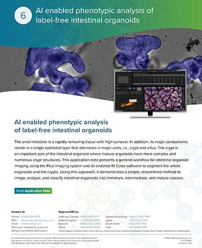 AI enabled phenotypic analysis of label-free intestinal organoids