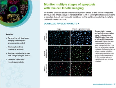 Monitor multiple stages of apoptosis