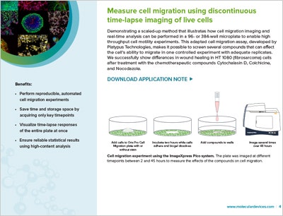 Measure cell migration using discontinuous time-lapse imaging