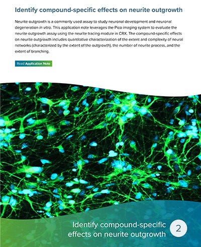 Identify compound-specific effects on neurite outgrowth