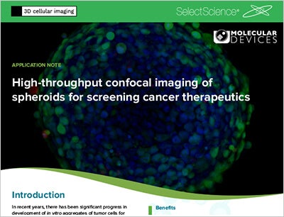 Imaging of 3D cancer spheroids