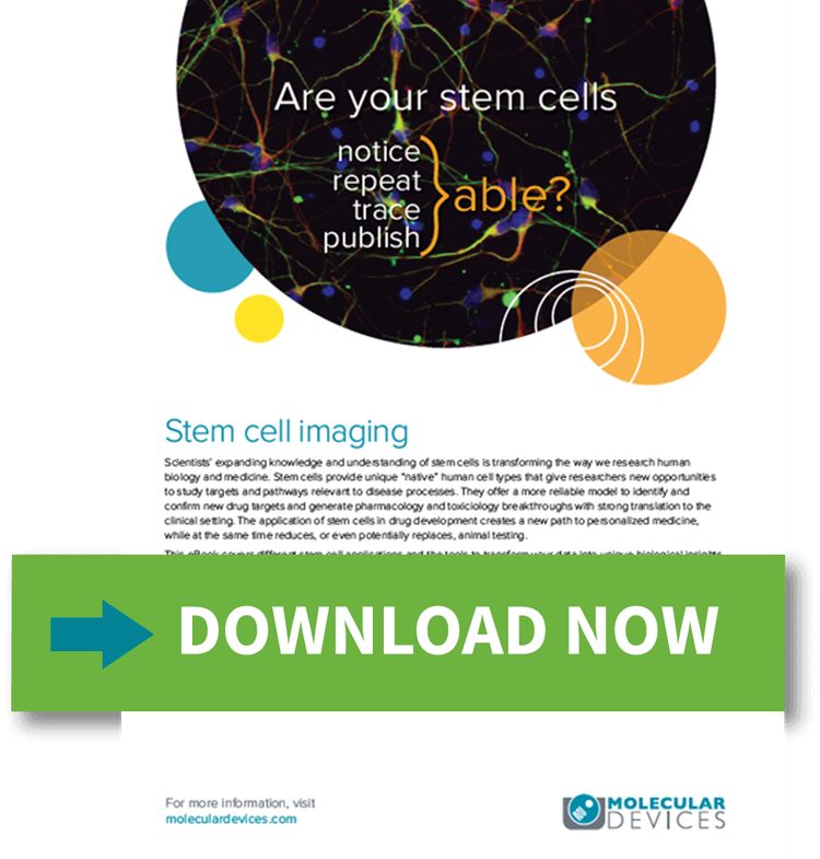 Stem cell imaging