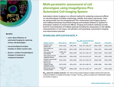 Multi-parametric assessment of cell phenotypes