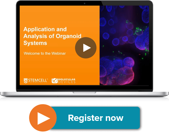 Application and High-Content Imaging Analysis of Organoid Systems