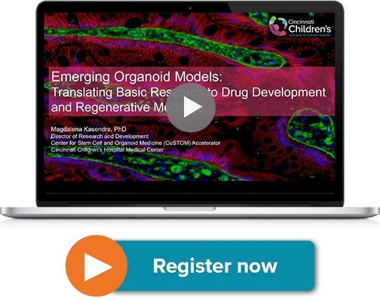 Emerging Organoid Models