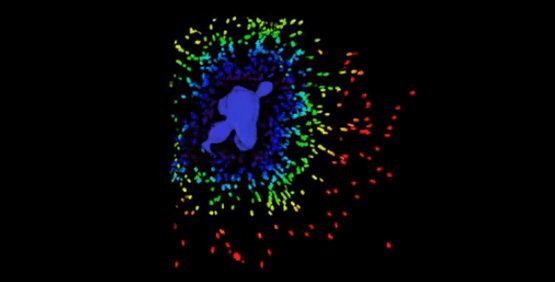 3D Cell Imaging 및 분석