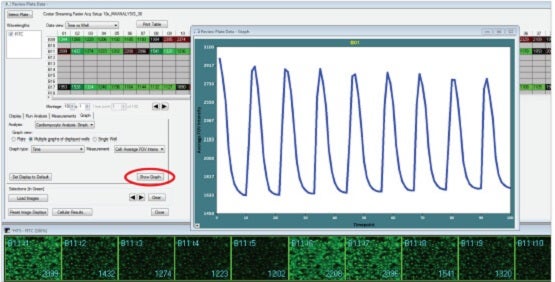 Timelapse Live Cell Imaging