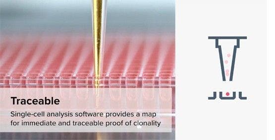 Single Cell Sorting