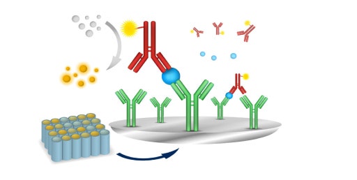 Chemiluminescent ELISA