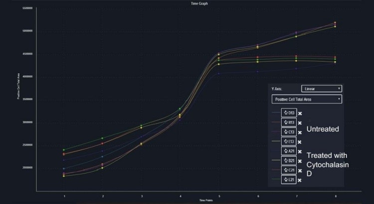 관심있는 결과값에 대한 경향성 Visualization