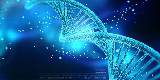 DNA/RNA 정량분석 샘플