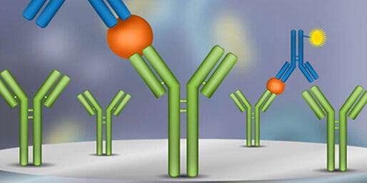 ELISA/Bioassay(항원, 항체, Cytokine 등의 정량)