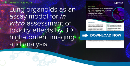 3D High-Content Imaging을 사용한 폐 오가노이드 Monitoring