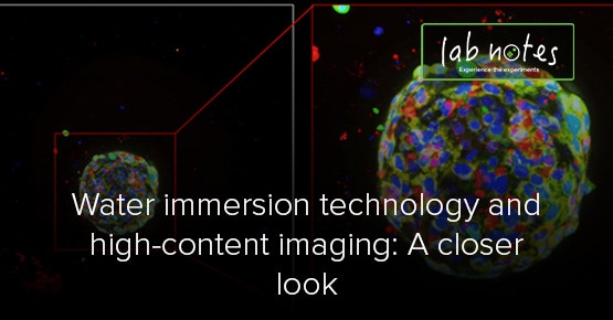 Water Immersion 기술과 High-Content Imaging: 근접 촬영