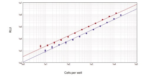 ATP 기반 Cell Viability Assay