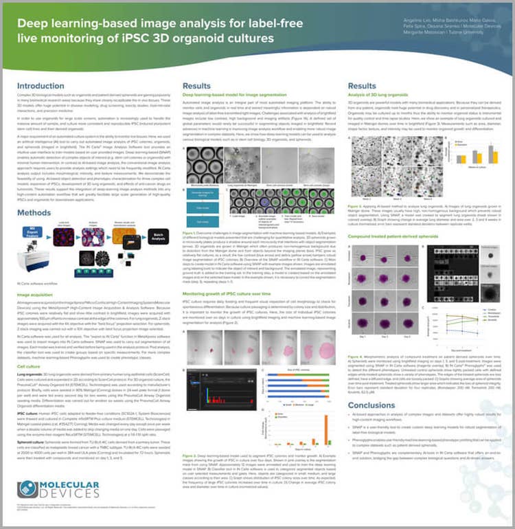 Deep learning-based image analysis of iPSC 3D organoid cultures