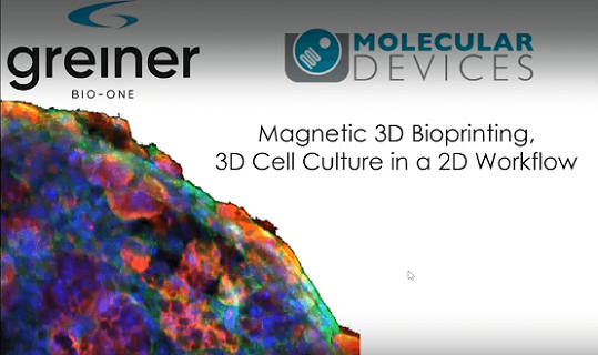3D bioprinted tissues