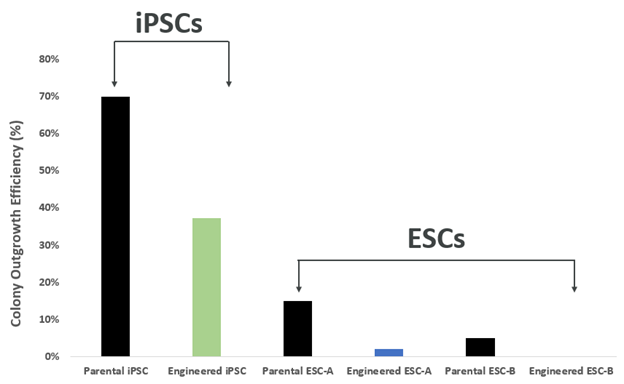 Colony Outgrowth Efficiencies from Single Cells between IPSCs and ESCs