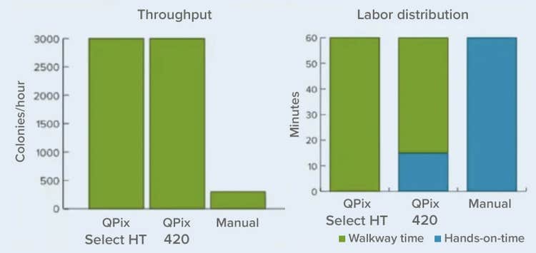 Throughput and Labor Ditribution Graph