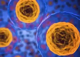 세포 건강 상태: Viability, 생장, 세포독성, 그리고 세포 기능