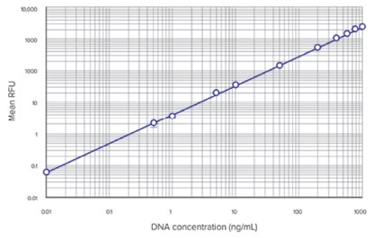 DNA 정량화