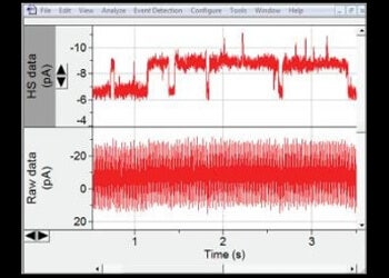 HumSilencer 활성화, CNCA2의 신호 측정
